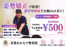 青葉台かなで整骨院
