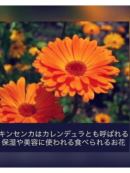 桃の木 吉祥寺店/カレンデュラは保湿や美容に