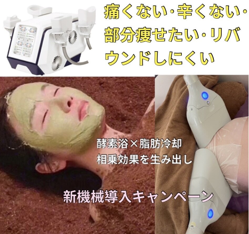 酵素風呂を知っていますか？ 酵素風呂を知っていますか?: 元気と健康を呼ぶ! | 岡崎 保 |本