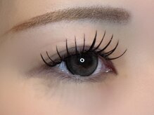 フリー#240(Free#240)/ダブルフラット200本