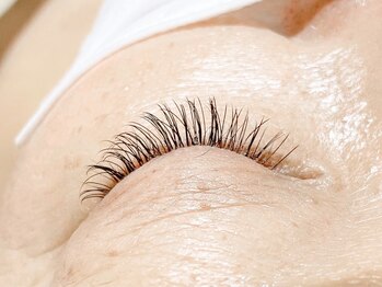 シトリン(Citrine)/バインドロック&シングルLash