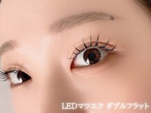 アイデュース 羽広店(eyeduce)/LEDダブルフラット 80束160本
