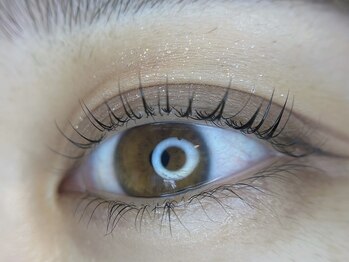 アイラッシュサロンラコタ 池袋東口店(RACOTA)/ラッシュリフト