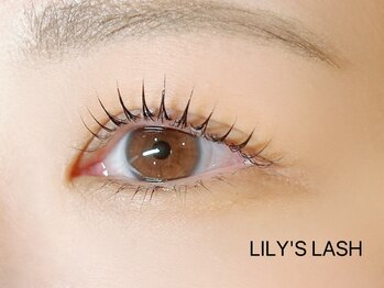 リリーズラッシュ(LILY'S LASH)/ラッシュリフト