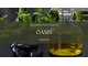 オアシス(oasis)の写真