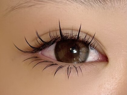 テクニコ(tecnico)の写真