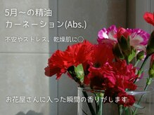 ウェル(well)/カーネーションAbs.