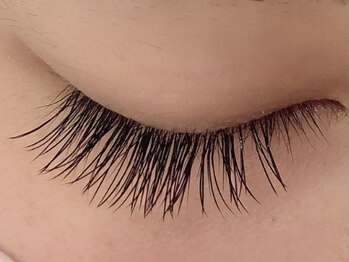 カラン 焼津店(CALIN)/フラットラッシュ120本