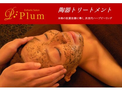 プラム(PLUM)の写真