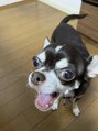 フェイストゥー 福島店(FACETOO)&nbsp;毎日癒しをくれる愛犬です♪