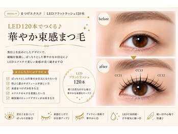 サロン ド ブランシェ(Salon de Branchee)/華やか束感 LEDフラットラッシュ