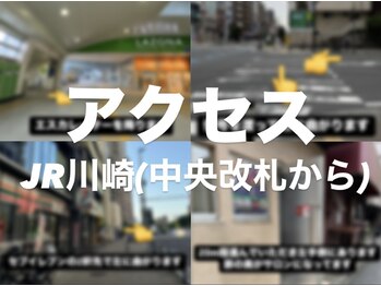 ルピナス(Lupinus)/