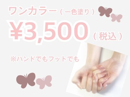 ルミ(Lumi)の写真