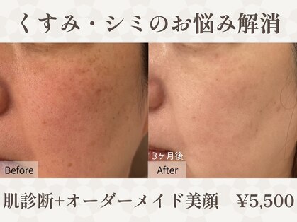 サクスィード 水戸本店(Succeed)の写真