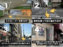 ルピナス(Lupinus)/