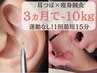 【産後・ぽっこりお腹撃退】我慢ゼロで別人級へ耳つぼ×痩身鍼灸 お試し体験