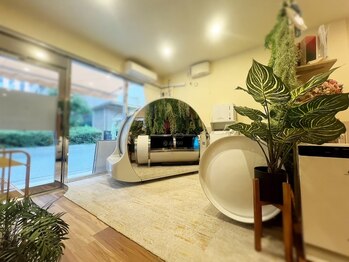 ホロムア ガーデン 芝(Holomua Garden)