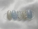 【定額Bコース16種】6月新作