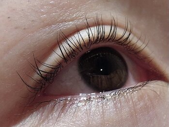 カラン 焼津店(CALIN)/ラスティングカール