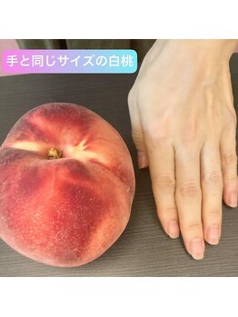 桃の木 吉祥寺店/季節の野菜や果物で体調管理