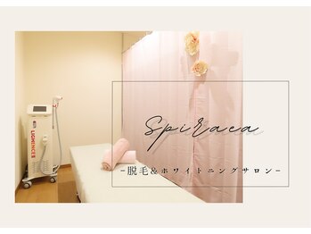 スパイリーア(Spiraea)