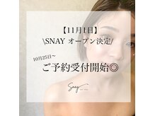 スナイ(SNAY)