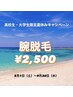 夏休みキャンペーン！【高校生・大学生限定】腕脱毛1回￥2,500 