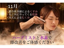 ヨサパーク ヌック サカイ 鉄砲町店(YOSA PARK nucc)