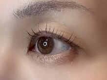 フリー#240(Free#240)/コスメリフト