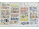現在の定額デザイン一覧