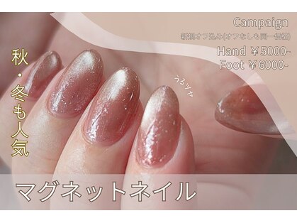 アンクローチェ(Ann Cloche)の写真