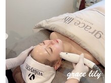 グレイスリリー(grace lily)