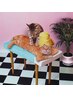 【自立神経にオススメ！】リンパ＋もみほぐし＋ドライヘッド《150分》¥11000