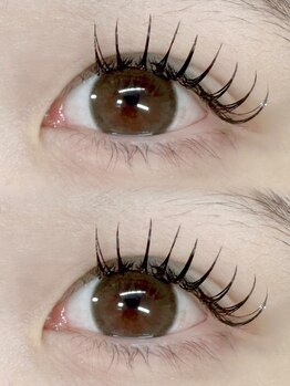 フルール(FLEUR)/フラットラッシュ120本