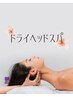 【初回体験◇30名様限定】ドライヘッドスパ30分¥3800→¥1,900