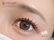 アイデュース 羽広店(eyeduce)/LEDダブルフラット 60束120本