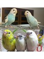 マキア 宇部店(MAQUIA) お家の可愛いインコ達です☆