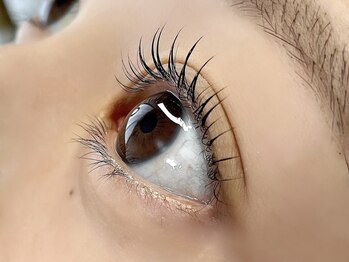 トラ(TORA)/まつげパーマ