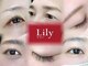 リリー(Lily)の写真