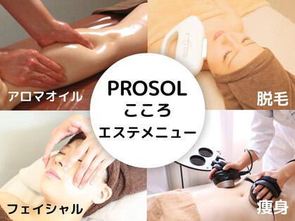 プロッソル こころ(PROSOL)の写真