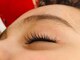 ラッシュアップ(LshUp)の写真