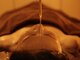 デトックスサロン ワン(Detox Salon ONE)の写真/睡眠の質向上をサポート◎脳のマッサージで深いリラクゼーションへ誘い、睡眠改善を実感♪