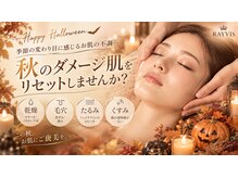 エステティック レイビス 青森店(RAYVIS)