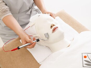 ロータス(LOTUS)/エンビロンフェイシャル