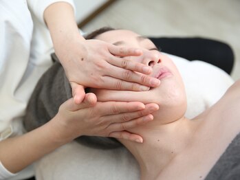 ビコツプロ(Bikotsu Pro)/