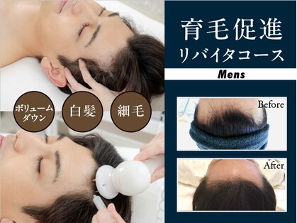 イーズ ミュゼ 梅田本店の写真