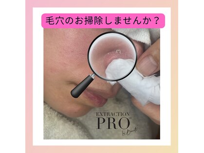 ココ(Koko)の写真