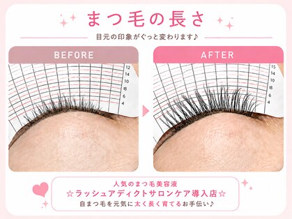 ピンクビー(Pink Bee)の写真