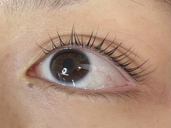 ウルカ アイラッシュ(uruka EYELASH)/ラッシュリフト[まつ毛パーマ]