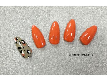 定額デザインコース